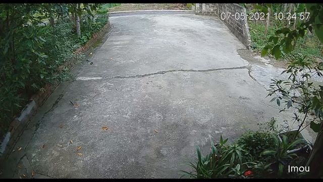 So Sánh Camera Full Color Và Camera Hồng Ngoại - Imou F22FP Vs Imou F22P смотреть онлайн