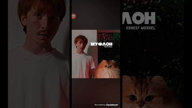 Ernest Merkel муфлон