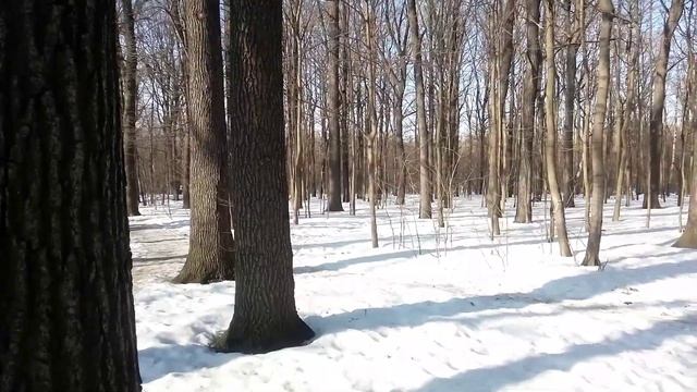 Первое МАЯ уже близко. смотреть онлайн