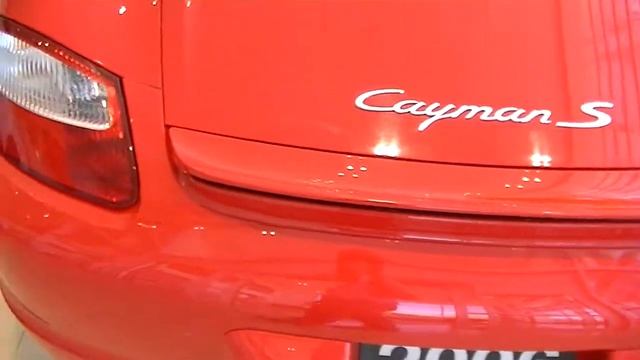 Секреты диких животных: истории и легенды