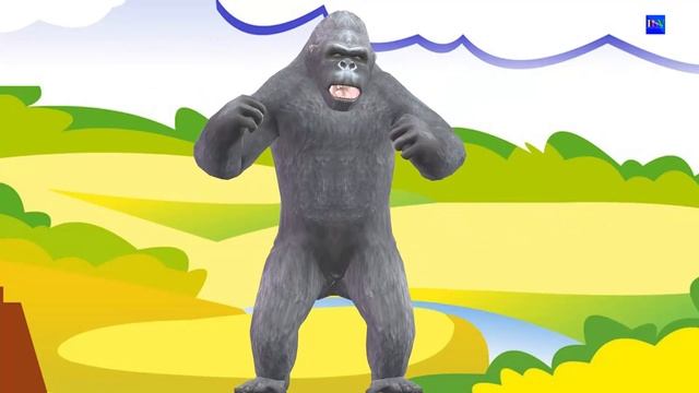 Learn Colors For Children W Needle Colors Animals Gorilla & Dinosaurs Fun Learning Video For Kids