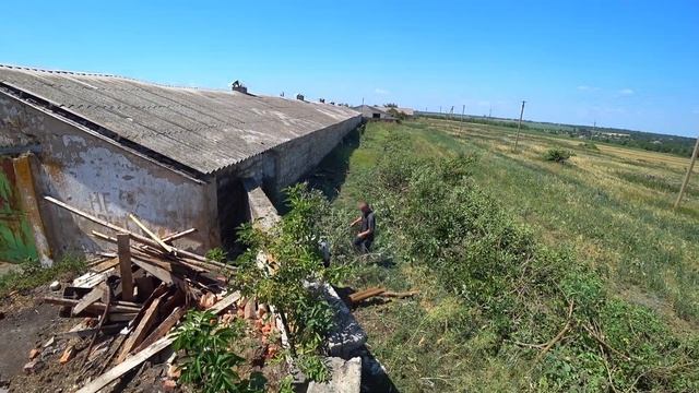 ❗❗Вирізаю дерева біля ферми🌳 Тестую новий препарат від мух🦟 смотреть онлайн
