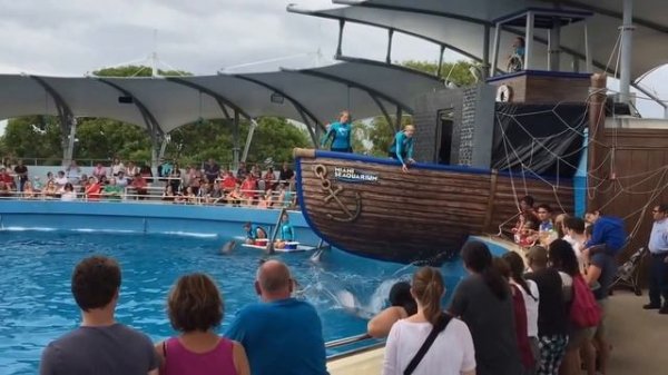 Шоу дельфинов MIAMI SEAQUARIUM