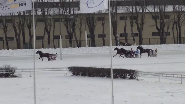 Московский ипподром. Бега. 02.02.14. Заезд 6(53) смотреть онлайн