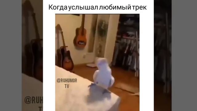 Когда услышал любимый трек смотреть онлайн