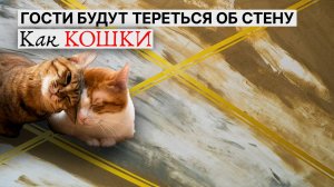 Трансформация стен БЕЗ навыков: штукатурка, которая делает вас гением интерьеров