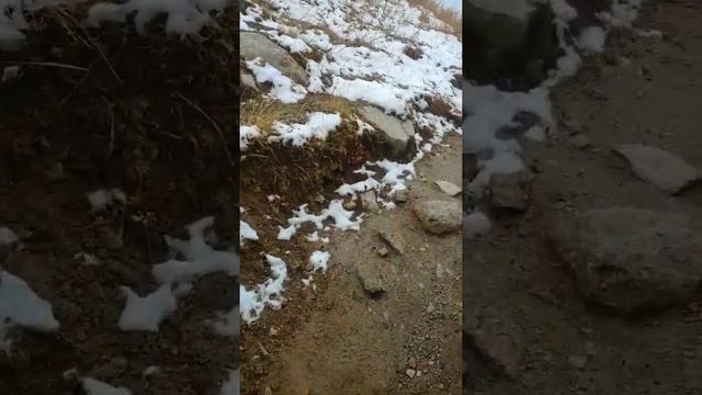 Trekking to Ak-Sai waterfall 💦 смотреть онлайн