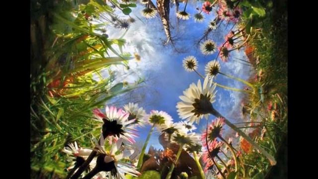 Grupo Acustica Mirame смотреть онлайн