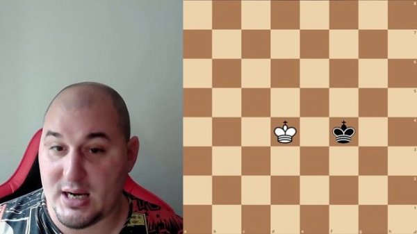 Виды ничьих в шахматах