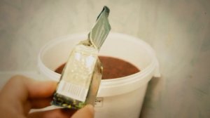 Красное вино из Ирги