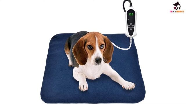 ✅Top 5 Best Heated Dog Beds in 2023 смотреть онлайн