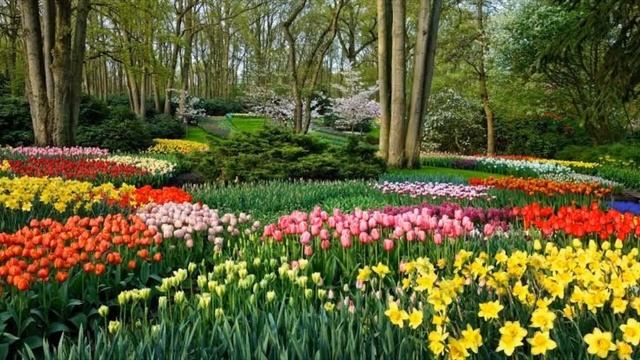 Capitulo 1 Hola Inuyasha. смотреть онлайн