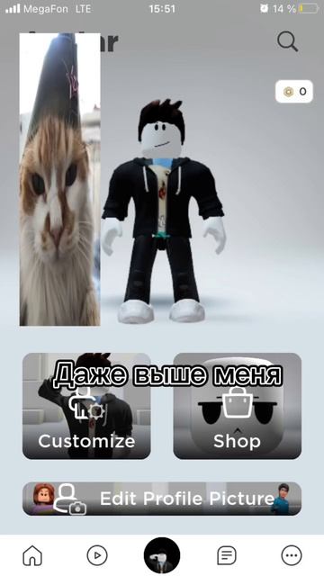 АЛИСА УГАДЫВАЕТ МОЮ КОШКУ #котики смотреть онлайн