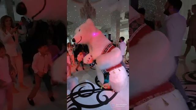Поздравление армянского медведя. Сочи, Адлер. 8-938-874-19-70. Мишка на праздник. смотреть онлайн