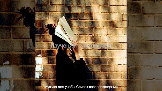 Моменты (Фокус) смотреть онлайн