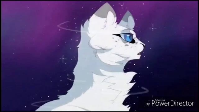 Коты воители клип - La la song. смотреть онлайн