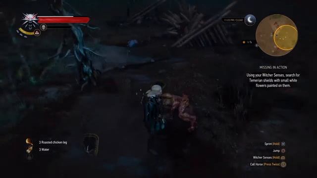 Missing In Action And A Crystal Skull: The Witcher 3: Wild Hunt - Part 5.5(No Commentary) смотреть онлайн