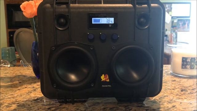 DIY Pelican 1200 HiFiBoomBox ver. 2: GUITAR MUSIC DEMO! смотреть онлайн