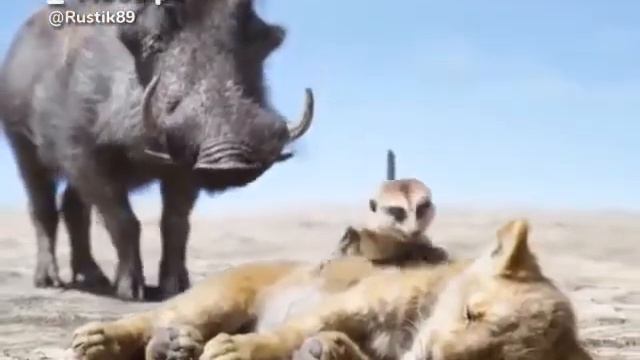 Тимон и пумбо. MadLipz😂😂 смотреть онлайн