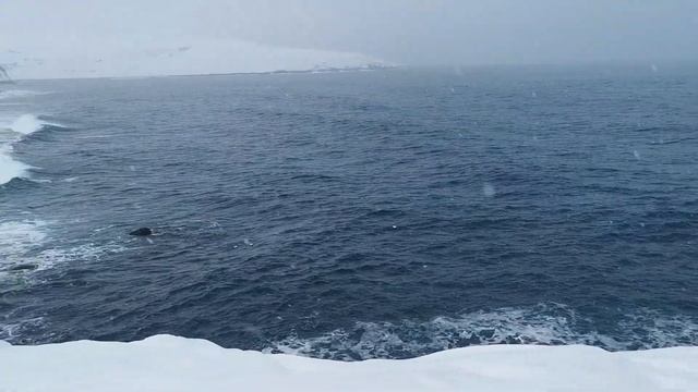 Териберка 01.02.2023 смотреть онлайн