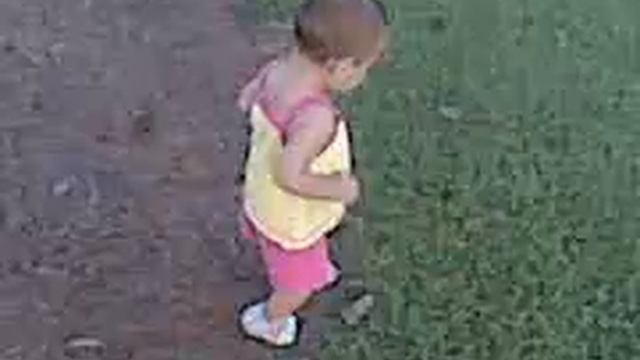 isabella barking at a dog смотреть онлайн