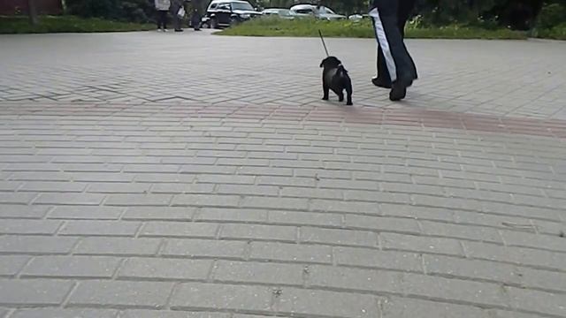 DSCN2319 смотреть онлайн