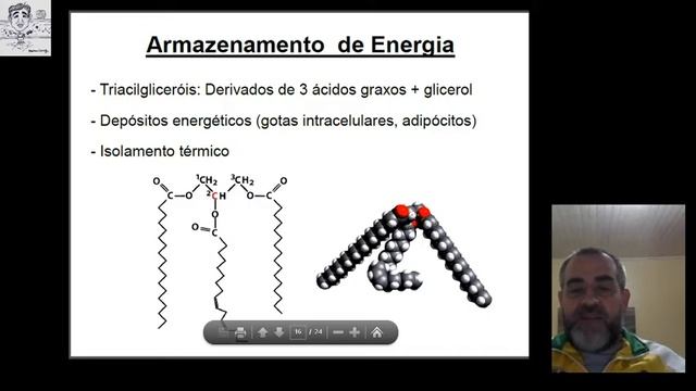 Bioquímica004 - Lipídios смотреть онлайн