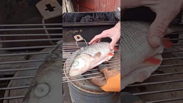 Закоптили голавля.