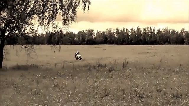 Конно-спортивная фотосессия. смотреть онлайн