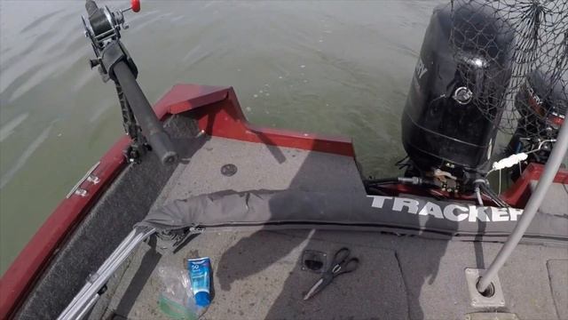 SF Bay Winter Halibut during Herring Spawn! смотреть онлайн