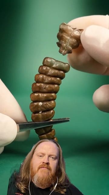 How do Rattlesnake Rattles Work? смотреть онлайн