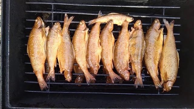 копченый хариус.ммм!!! смотреть онлайн