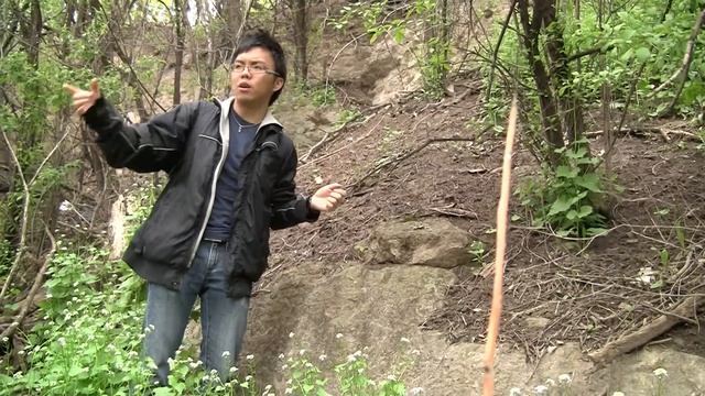 The Fossil Hunter - Schoonmaker Reef смотреть онлайн