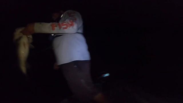 National Bass West Night Tournament 2 | Diamond Valley Lake смотреть онлайн