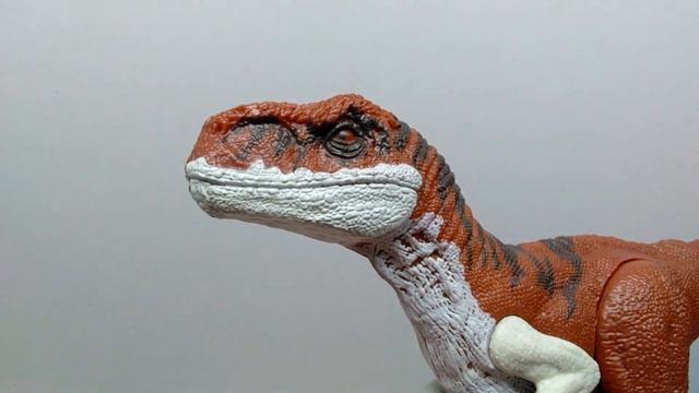 2022 Mattel Jurassic World Dominion Basic 6 pack Review!!! Atrociraptor Tiger & Panthera!!! смотреть онлайн