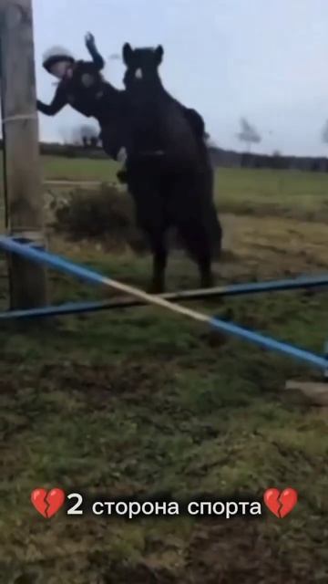 Сторона спорта..#horse#тренды#equestrian#лошади#конь#видео#riding#pony#падение#конныйспорт#конники смотреть онлайн