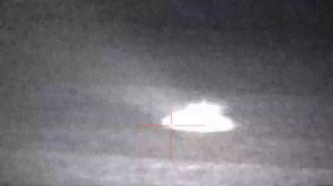 охота на зайца с мелкашкой