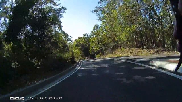 The Gap Creak Tasmanian Tiger/ Dingo смотреть онлайн