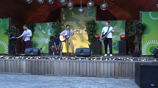 Люпины(Зеленка,Сад культуры и отдыха им. Н.Э. Баумана,12.07.2024) смотреть онлайн