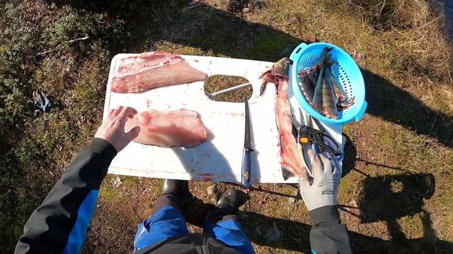 Verkkokalastusta Kitkajärvellä. Osa 17 - siian fileointi ruodottomaksi. смотреть онлайн