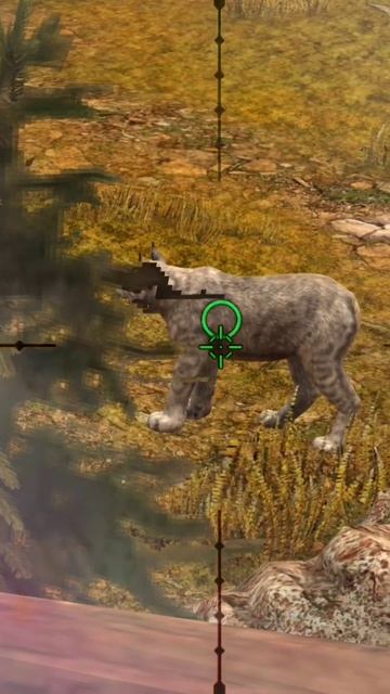 NORTH AMERICAN LYNX #shorts смотреть онлайн