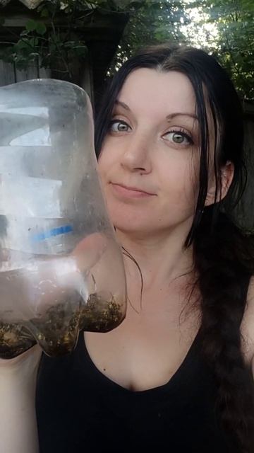 Пастки на ос. смотреть онлайн