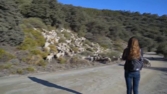 마타도어 카메라 패딩커버 смотреть онлайн