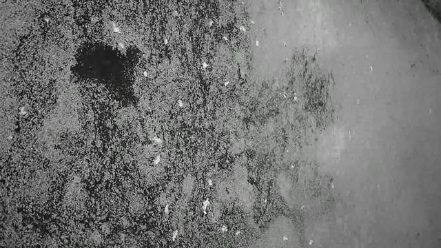 L'eau смотреть онлайн