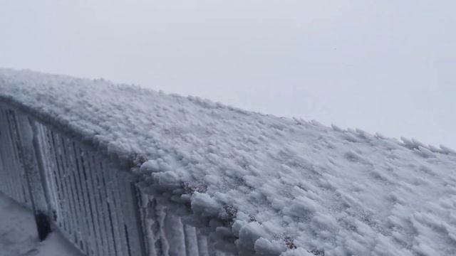 Арктическая тоска смотреть онлайн