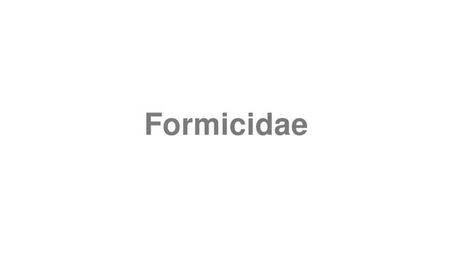 How to Pronounce "Formicidae" смотреть онлайн