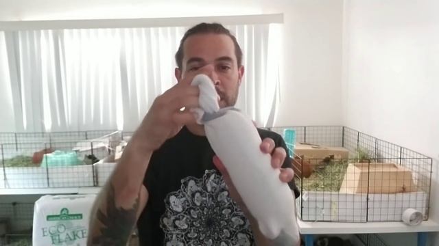 Easy way to keep your Guinea Pigs cool when it's Hot смотреть онлайн