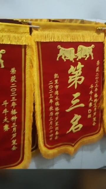 鬥牛 疯狂斗牛|bullfight ,crazy bullfight|đấu bò điên cuồng|adu banteng gila#乡村斗牛#斗牛#牛王争霸赛 #少数民族风情 #斗牛文化 смотреть онлайн