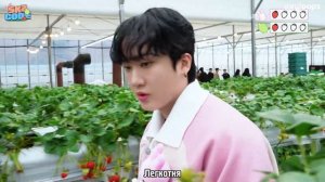 SKZ CODE 50 | Черепахи против зайцев, 2 часть [рус.саб]