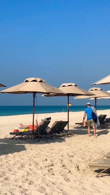 Best Saadiyat Island Hotel? This is Saadiyat Rotana! Abu Dhabi, UAE #luxuryhotel #abudhabi #uae смотреть онлайн